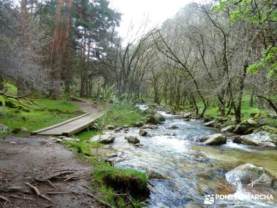 Cascadas Purgatorio,Bosque Finlandia; club de montaña en madrid; mochilas senderismo; senderismo gu